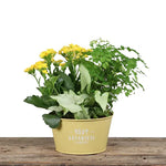 Botanical Garden Planter 7"