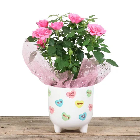 Sweetheart Cerammic w/ Rose 4'