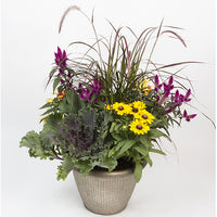 Autumn Mixed Planter 14"