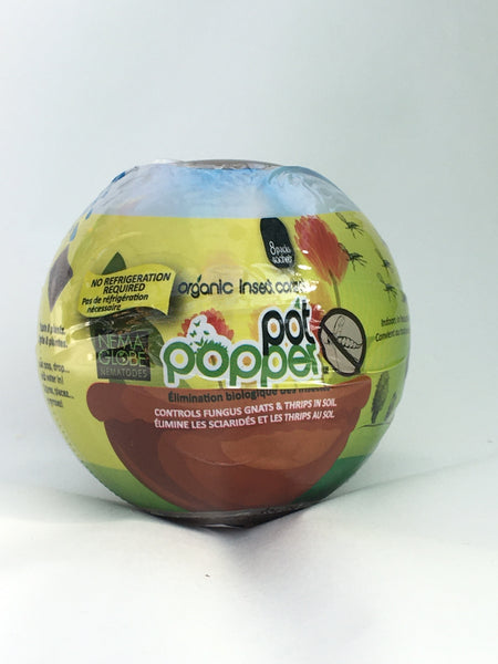 Pot Popper Globe for Fungus Gnat