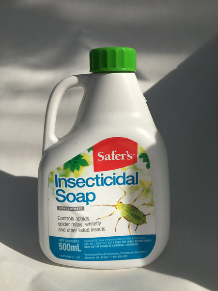 Safers Insec Soap Conc 500ml